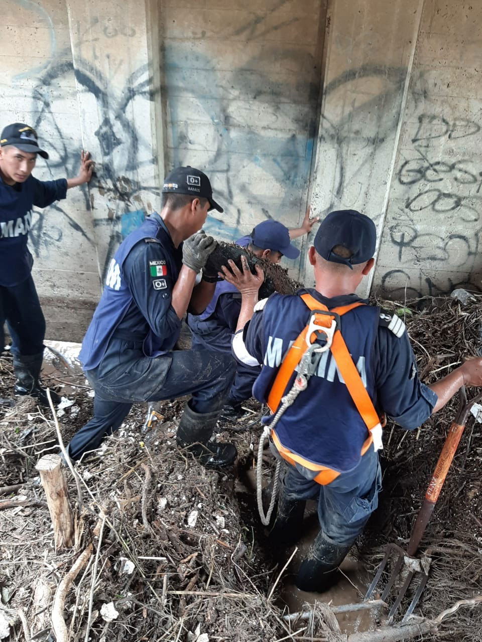 Diario de Colima