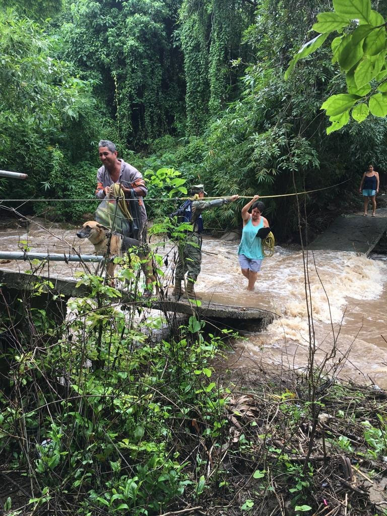 Diario de Colima