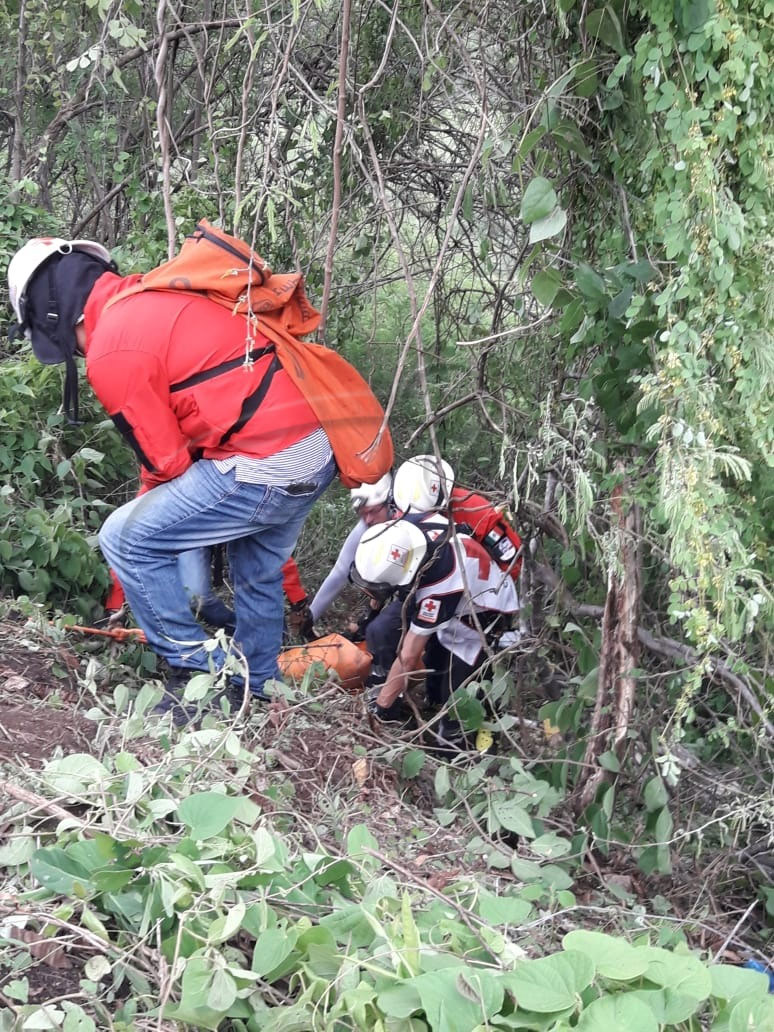 Diario de Colima