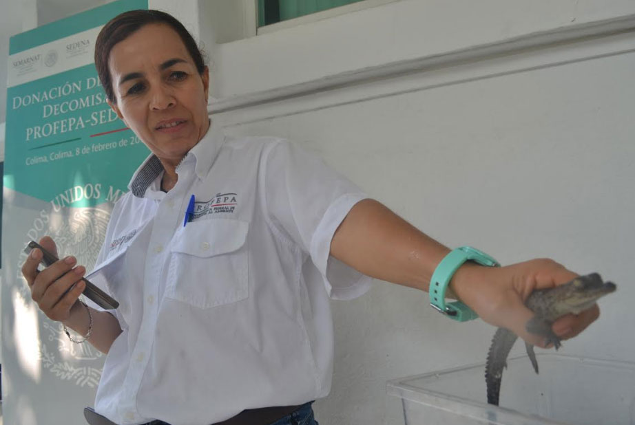 Diario de Colima