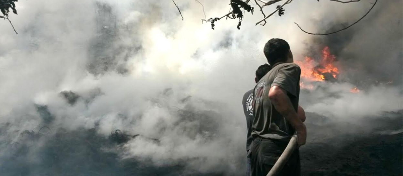Diario de Colima