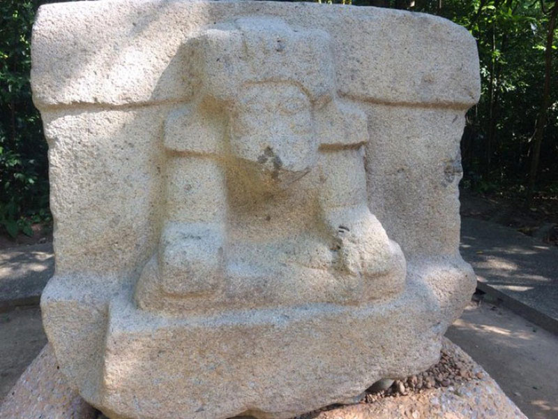 Diario de Colima