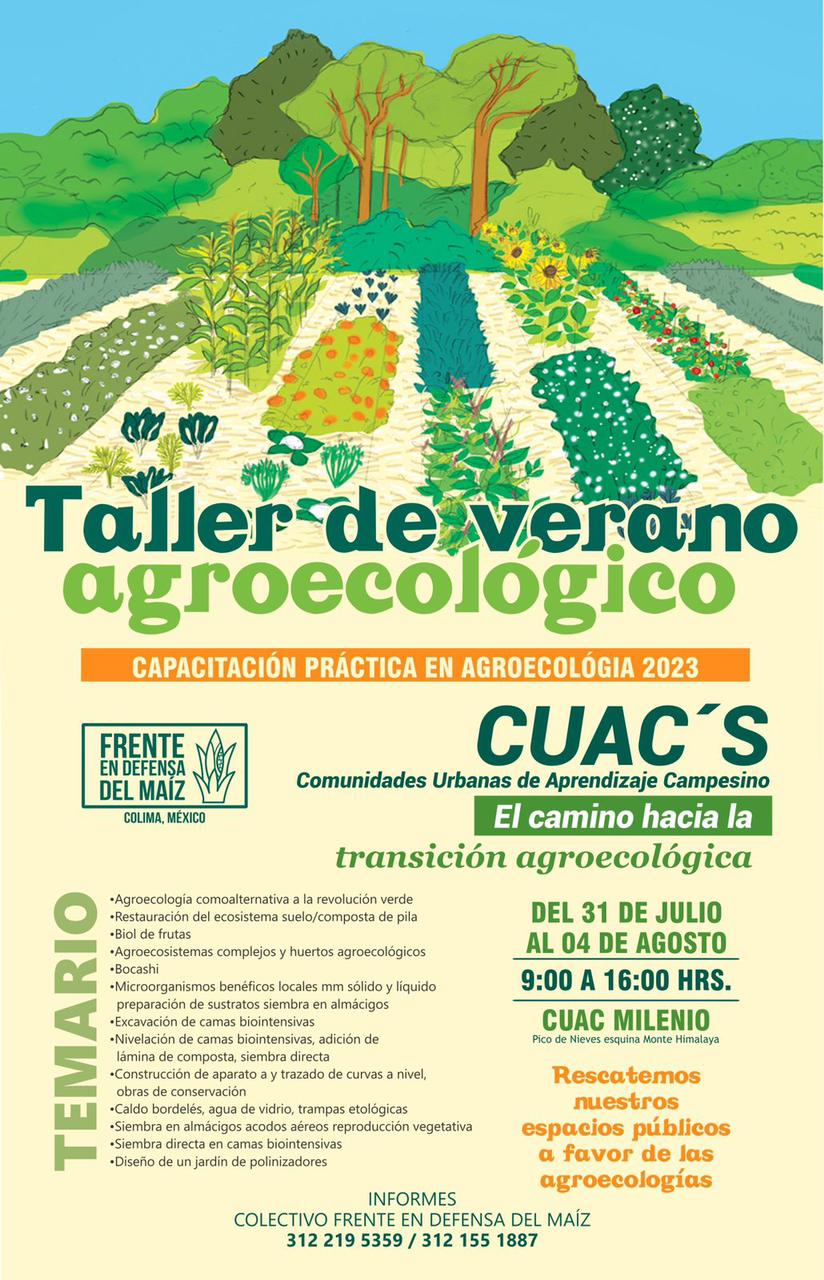 Diario de Colima